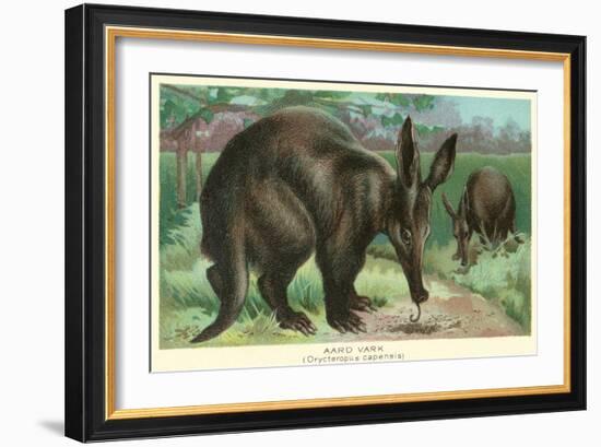 Aardvarks-null-Framed Art Print