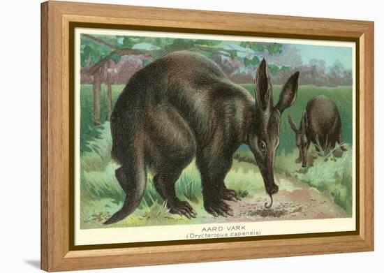 Aardvarks-null-Framed Stretched Canvas