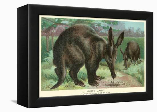 Aardvarks-null-Framed Stretched Canvas