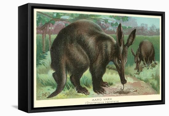 Aardvarks-null-Framed Stretched Canvas