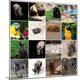 Premium Photographic Print