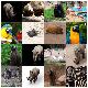 Premium Photographic Print