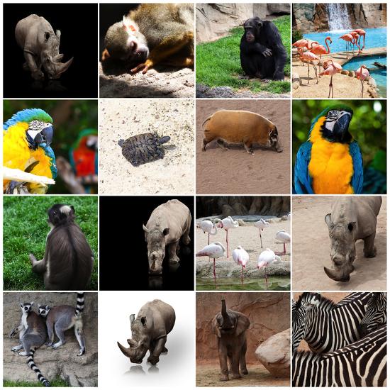 Photographic Print, , large