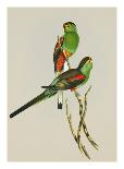 Trogon Mexicanus-Aaron Ashley-Framed Art Print