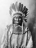 Geronimo (1829-1909)-Aaron Canady-Premier Image Canvas