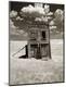 Photographic Print