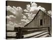 Stretched Canvas Print
