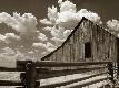 Premium Photographic Print