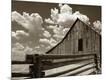 Photographic Print