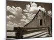 Photographic Print