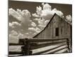 Photographic Print