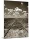 Premium Photographic Print