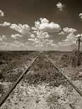 Old Railroad Tracks-Aaron Horowitz-Photographic Print
