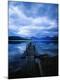 Premium Photographic Print