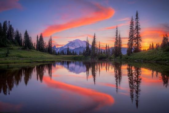Photographic Print, , large