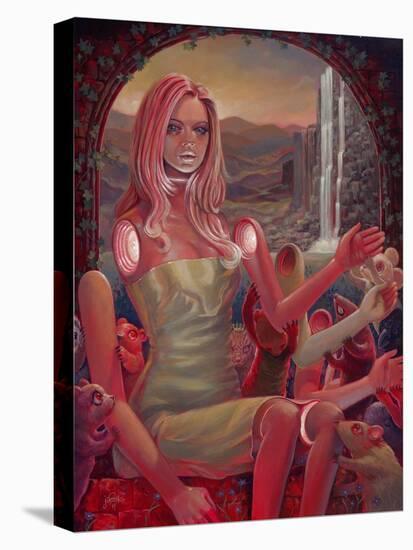 Stretched Canvas Print, , large