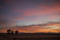 Skyline Sunset-Aaron Matheson-Photographic Print
