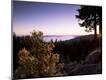 Photographic Print