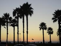 Cactus Plants after Sunset, Baja, Mexico, North America-Aaron McCoy-Photographic Print