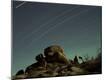 Premium Photographic Print