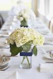 Centerpiece-aastock-Photographic Print