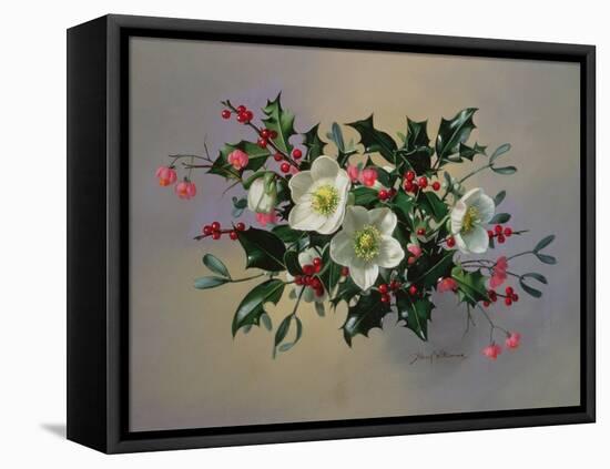 Ab/89 Christmas Roses-Albert Williams-Framed Premier Image Canvas