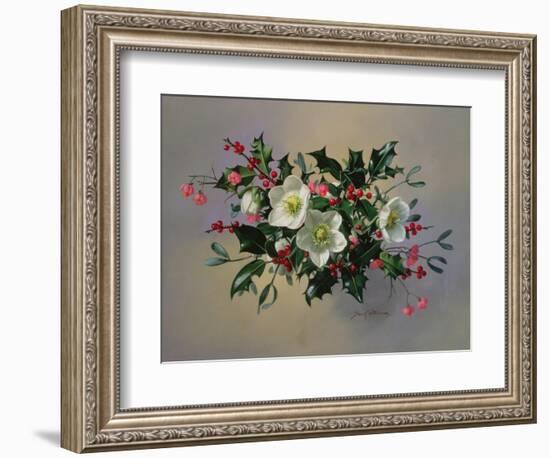 Ab/89 Christmas Roses-Albert Williams-Framed Giclee Print