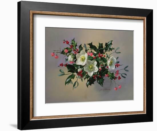 Ab/89 Christmas Roses-Albert Williams-Framed Giclee Print