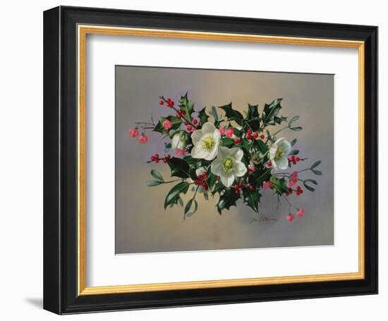 Ab/89 Christmas Roses-Albert Williams-Framed Giclee Print