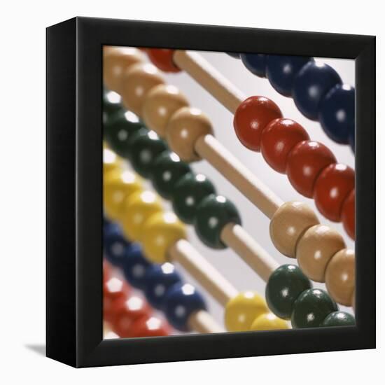 Abacus-Tek Image-Framed Premier Image Canvas