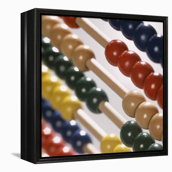 Abacus-Tek Image-Framed Premier Image Canvas