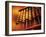 Abacus-Adam Gault-Framed Photographic Print