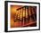 Abacus-Adam Gault-Framed Photographic Print