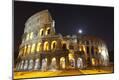 Photographic Print