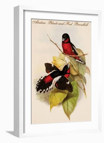 Abakan Black-And-Red Broadbill-John Gould-Framed Art Print