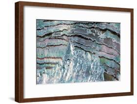 Abalone Shell-null-Framed Photographic Print