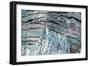 Abalone Shell-null-Framed Photographic Print