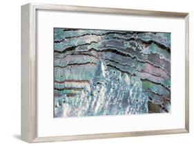 Abalone Shell-null-Framed Photographic Print