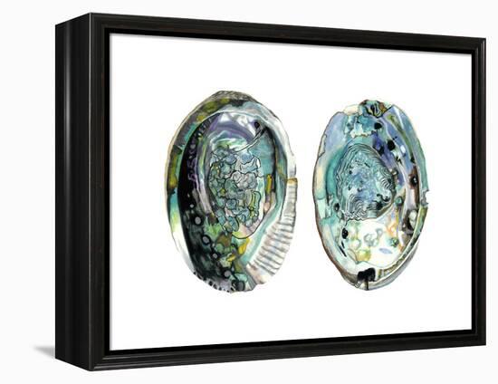 Abalone Shells I-Naomi McCavitt-Framed Stretched Canvas