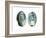 Abalone Shells I-Naomi McCavitt-Framed Art Print