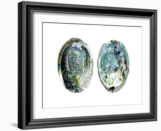 Abalone Shells I-Naomi McCavitt-Framed Art Print