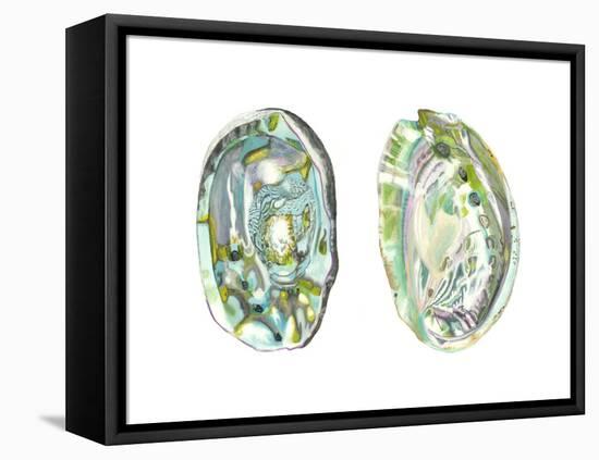 Abalone Shells II-Naomi McCavitt-Framed Stretched Canvas