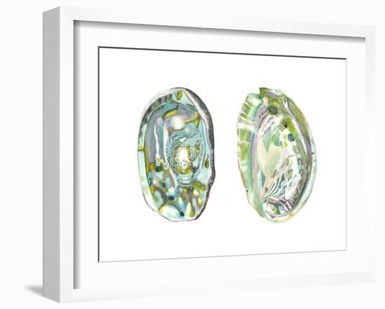 Abalone Shells II-Naomi McCavitt-Framed Art Print