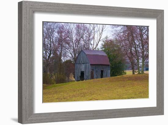 Abandon Barn-Lori Hutchison-Framed Photographic Print