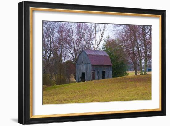 Abandon Barn-Lori Hutchison-Framed Photographic Print