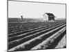 Abandonde Tenant House-Dorothea Lange-Mounted Giclee Print