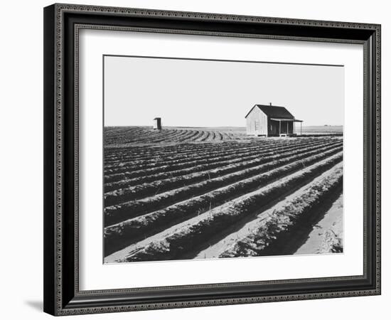 Abandonde Tenant House-Dorothea Lange-Framed Giclee Print