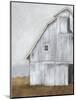 Abandoned Barn II-Ethan Harper-Mounted Premium Giclee Print