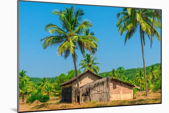 Abandoned Building in A Coconut Grove in the Tropics-Labunskiy K-Mounted Photographic Print