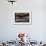 Abandoned Building Interior with Decorative Panelling and Old Grand Piano-Nathan Wright-Framed Photographic Print displayed on a wall